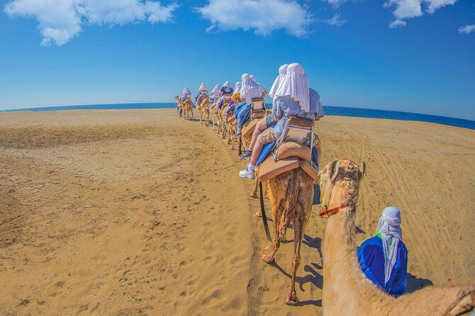 Safari with Camel Caravan to Explore Baja’s Nature, Culture and Cuisine - Price and value: what’s covered and what you’ll pay extra