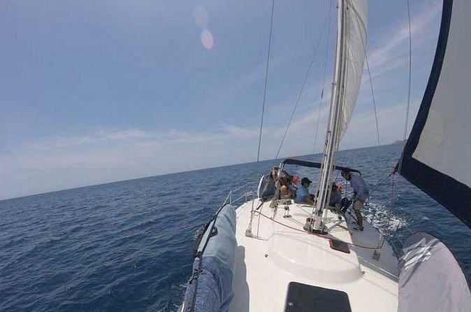 Sailing Snorkel Adventure - Surf Up Paddleboards After You Swim