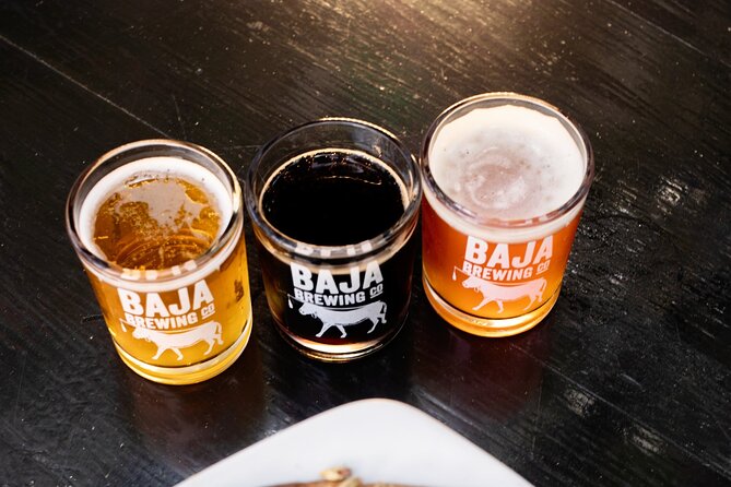 San Jose del Cabo Art Walk, Beer Tasting &Chocolate Demonstration - Chocola-T Cacao Factory: From Bean to Bar, Then Chocolate Tasting