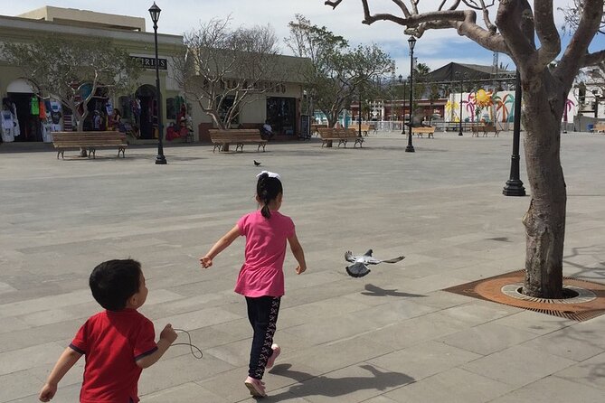 San Jose del Cabo Historic District Walking Tour - Price and what your $65 buys (and what it doesn’t)