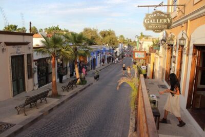 San Jose del Cabo Historic District Walking Tour - Morning logistics: start time, pickup, and the walking pace