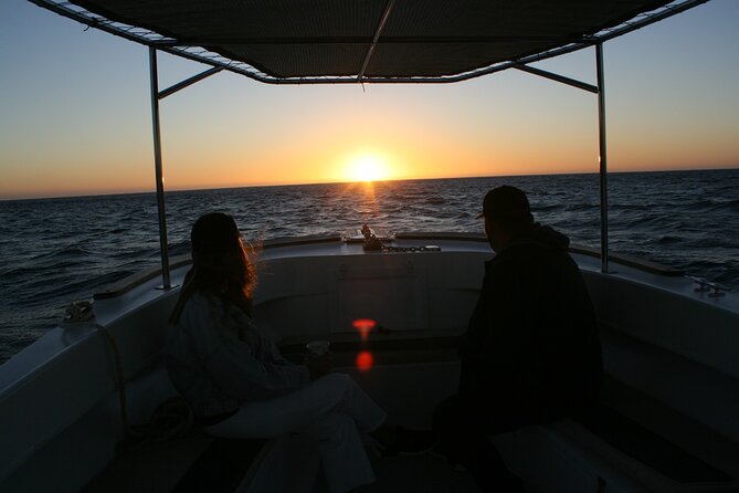 San Jose del Cabo Small-Group Sunrise Whale Watching - Why 6:00 am sunrise whale watching feels smarter in San Jose del Cabo