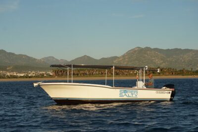 San Jose del Cabo Small-Group Sunrise Whale Watching - Small-group cruise: max 10 and real conversation time