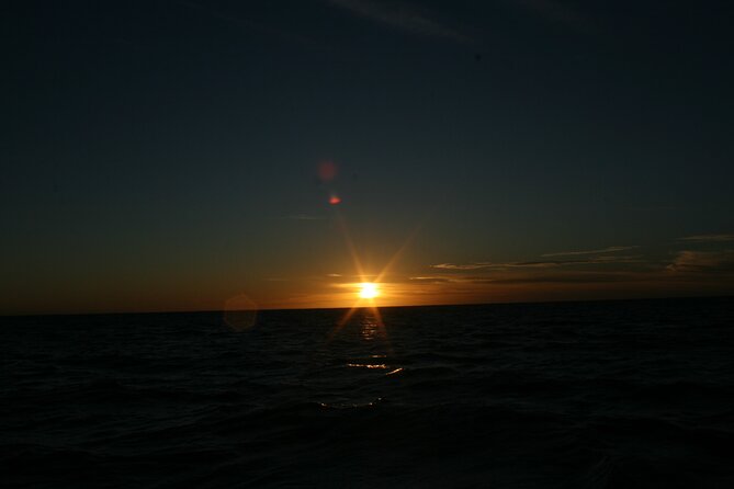San Jose del Cabo Small-Group Sunrise Whale Watching - The guide and captain make or break it