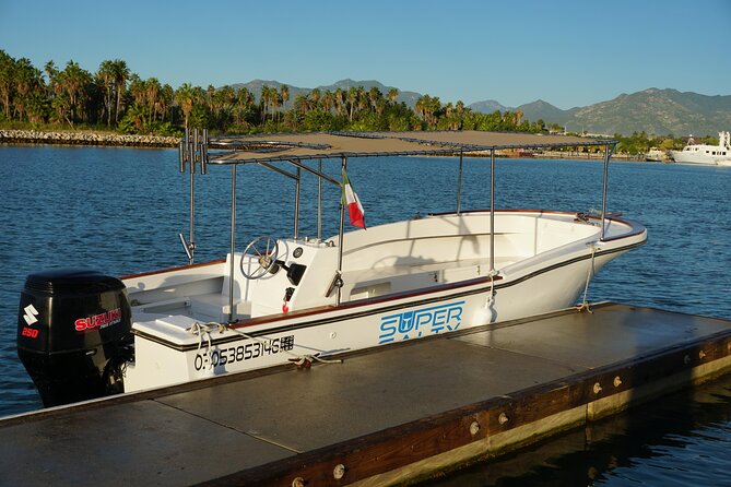 San Jose del Cabo Small-Group Sunrise Whale Watching - Price and value: why $99 can make sense here