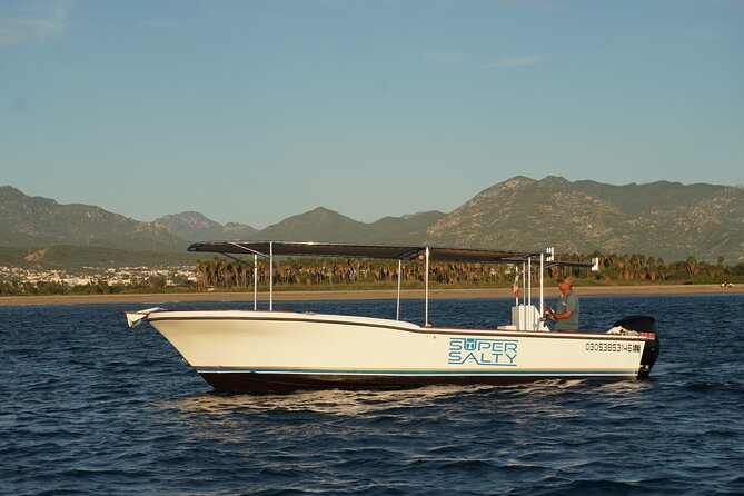 San Jose del Cabo Small-Group Sunrise Whale Watching - Small-group cruise: max 10 and real conversation time