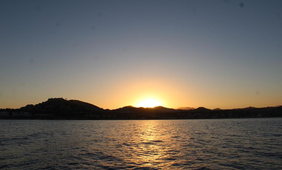 San Jose del Cabo Sunset Whale Watching - Key Highlights You’ll Notice Fast