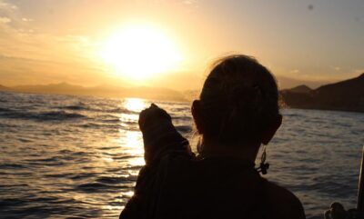 San Jose del Cabo Sunset Whale Watching - Two Hours on the Water: A Sweet Spot for Most Schedules
