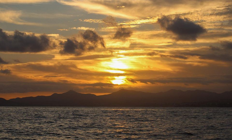 San Jose del Cabo Sunset Whale Watching - Twilight Whales: Why the Timing Can Feel Like a Secret