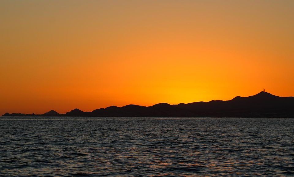 San Jose del Cabo Sunset Whale Watching - Safety, Seasickness, and Who Should Skip This One
