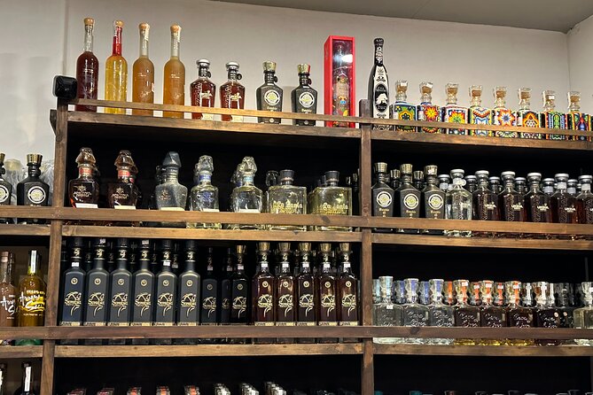 San Jose del Cabo Tequila, Mezcal and Mixology Class - Key things to know before you go