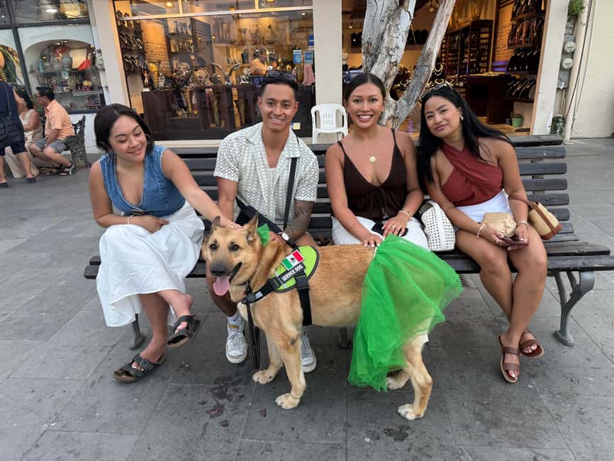 San José del Cabo: Thursday Night Art Walk Tour - Who Should Book This Thursday Night Art Walk Tour