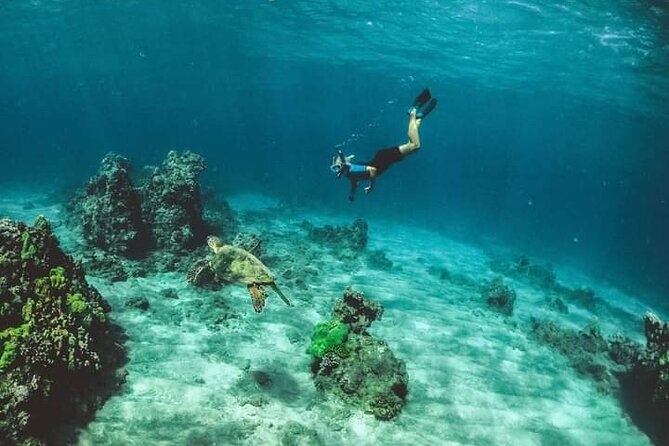 Santa Maria and Chileno Bay Snorkel Adventure Los Cabos - Price and Value: What $95 Buys (and What Adds Up)