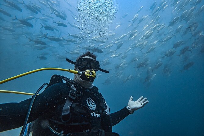 Scuba Diving - First Steps on the Water: Check-In at Cabo Trek and a Boat That Stays Manageable