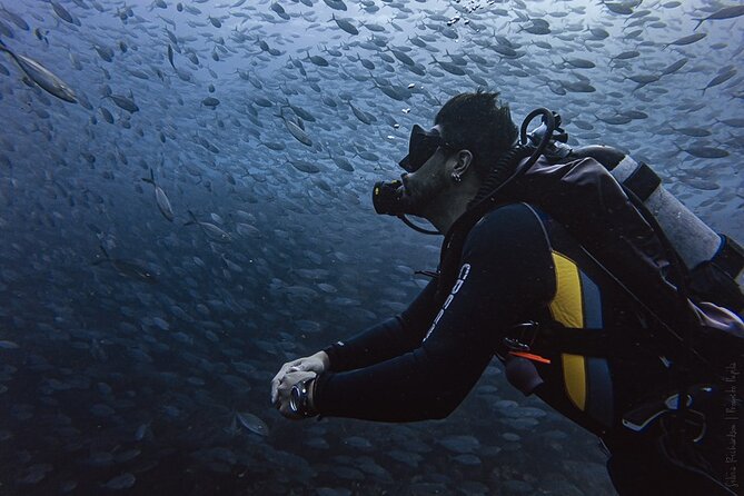 Scuba Diving - Choosing Your Underwater Sites: Pelikan Rock/Land’s End vs. the Corridor Bays