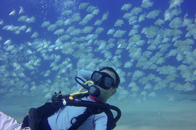 Scuba Diving - Gear, Equipment, and What You Might Pay Extra