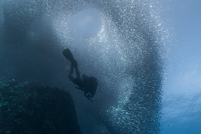 Scuba Diving - Practical Tips for a Smooth Cabo San Lucas Scuba Outing