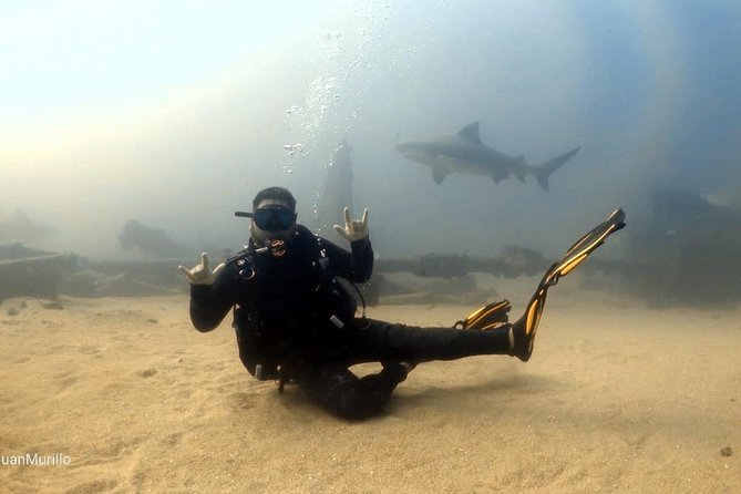 Scuba Diving adventure Cabo pulmo - Food, Snacks, and Bottled Water: A Small Detail That Makes the Day Better