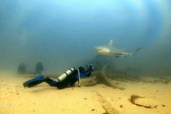 Scuba Diving adventure Cabo pulmo - Group Size (Max 18) and Weather Dependence: The Practical Reality