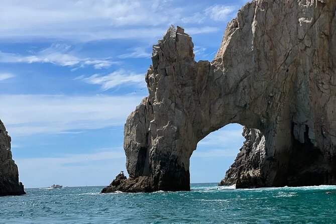 Shared Experience Glass Bottom Boat to the Arch in Cabo San Lucas - Sea Lions at Pelican Beach: A Wildlife Bonus That Actually Helps