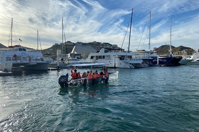 Shared Experience Glass Bottom Boat to the Arch in Cabo San Lucas - The Whale Search: Why This Cruise Feels Like an Adventure