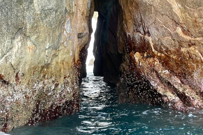 Shared Experience Glass Bottom Boat to the Arch in Cabo San Lucas - Price and Value: Is $15 Really Worth It?