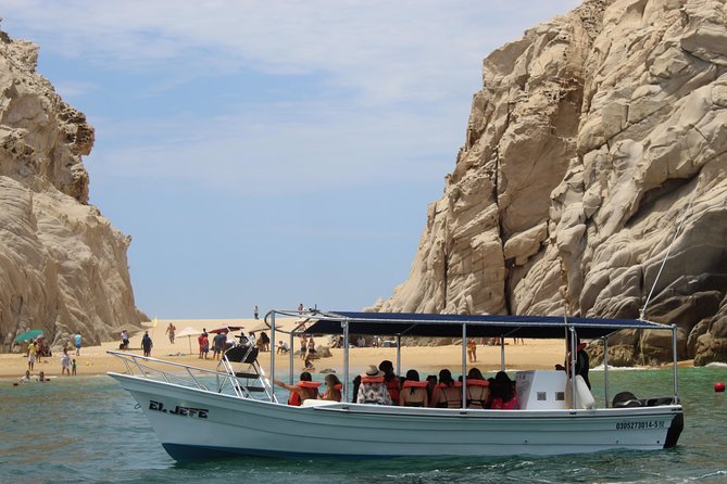 Shared ride to the arch of Cabo San Lucas - Sea Lions, Pelicans, and the Stories Your Guide Tells
