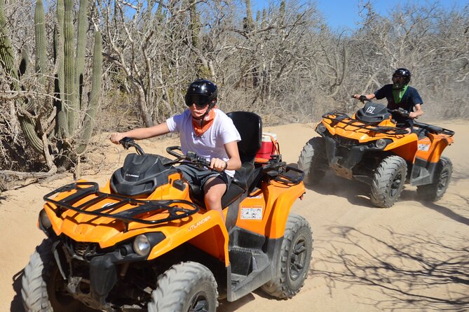 Single ATV Tour from Migriño Beach & Desert - Desert dunes, mountains, and 50+ cactus types you can actually recognize