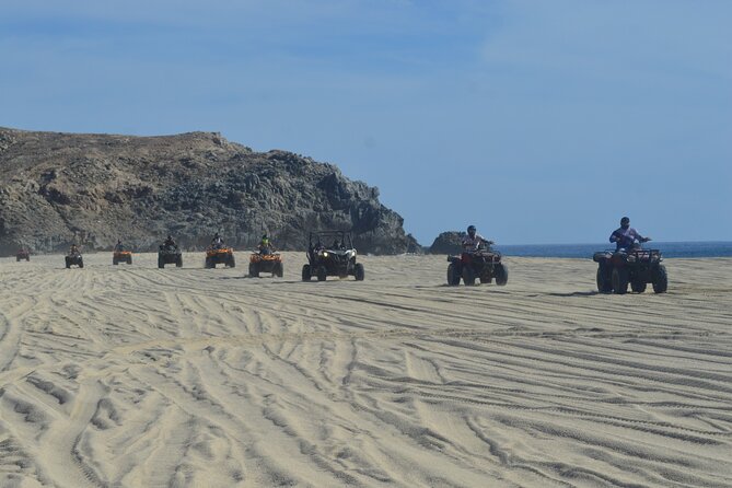 Single ATV Tour from Migriño Beach & Desert - How whale season fits in: two rest stops, not a guarantee