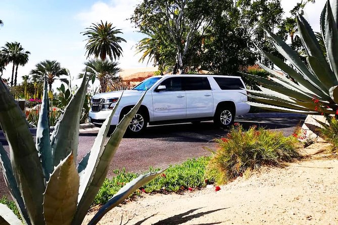 SJD Airport to San Jose del Cabo - one way service - Key things I’d circle before you book