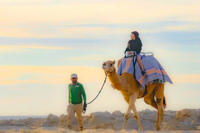 Sky Bike Free Camel Ride and Horseback Riding - Starting at Cactus Tours: Pickup, Check-In, and the Pre-Ride Runway
