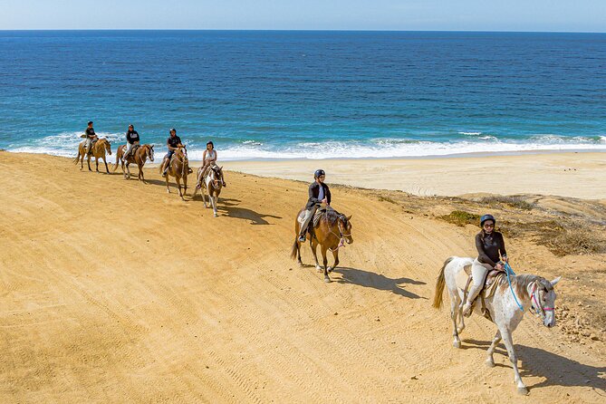 Sky Bike Free Camel Ride and Horseback Riding - Camel Ride Along the Beach: The Part That Feels Like Slower Travel