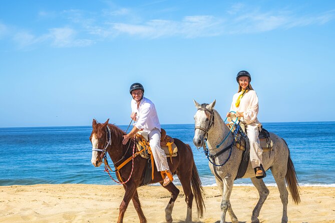 Sky Bike Free Camel Ride and Horseback Riding - Guides, Safety Gear, Water, and the Tequila Moment