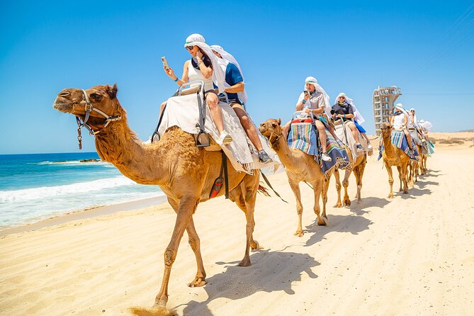 Sky Bike Free Camel Ride and Horseback Riding - Price and Fees: What the $175 Really Buys You