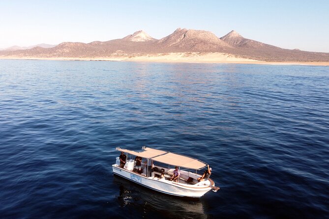 Small-Group Snorkel Adventure in San Jose del Cabo - Getting Started at Salty Cabo in San Jose del Cabo
