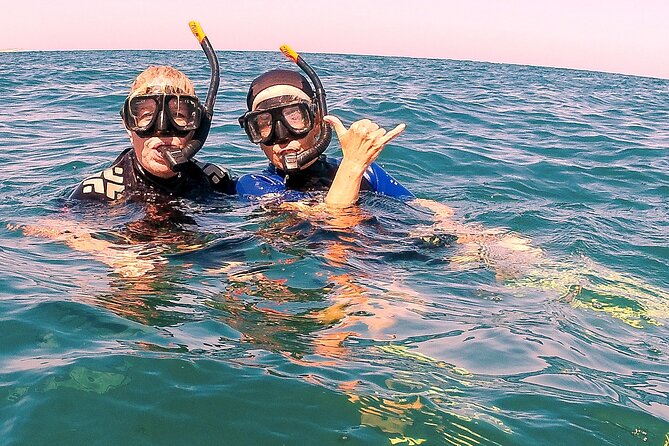 Small-Group Snorkel Adventure in San Jose del Cabo - In the Water: Gear, Guidance, and Those Can’t-Miss Moments