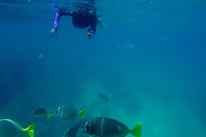 Snorkel Adventure and Hike to a Hidden Beach - The beach lunch setup: ceviche, guacamole, chips, and drinks