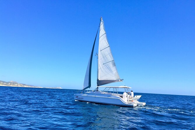 Snorkel Adventure through the Sea of Cortez - Why This Sea of Cortez Snorkel Day Works for Most People