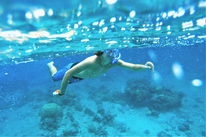 Snorkel Adventure through the Sea of Cortez - The Catamaran Ride Through Cabo Bay (A Real Part of the Day)