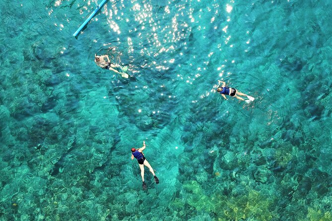 Snorkel Adventure through the Sea of Cortez - Stop in the Sea of Cortez: Snorkeling Gear, Life Jackets, and Practical Comfort
