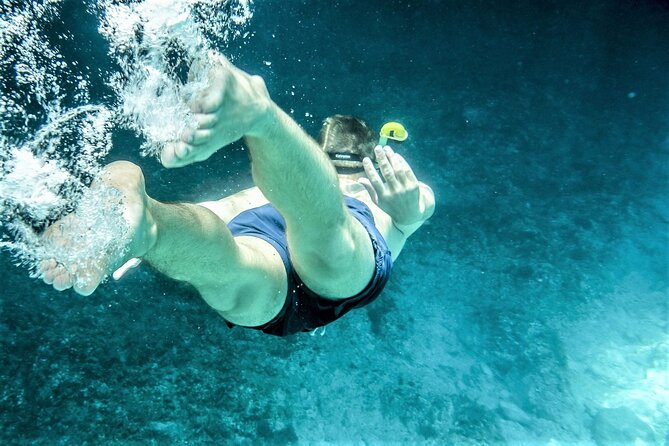 Snorkel Adventure through the Sea of Cortez - What’s Included vs Not Included (and the One Cash Item)