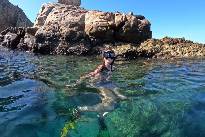 Snorkel and arch tour in los cabos - From the marina to El Arco: the sightseeing part you don’t want to skip