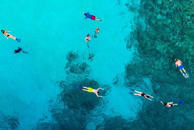 Snorkel and arch tour in los cabos - Guides, equipment, and the small details that really show up