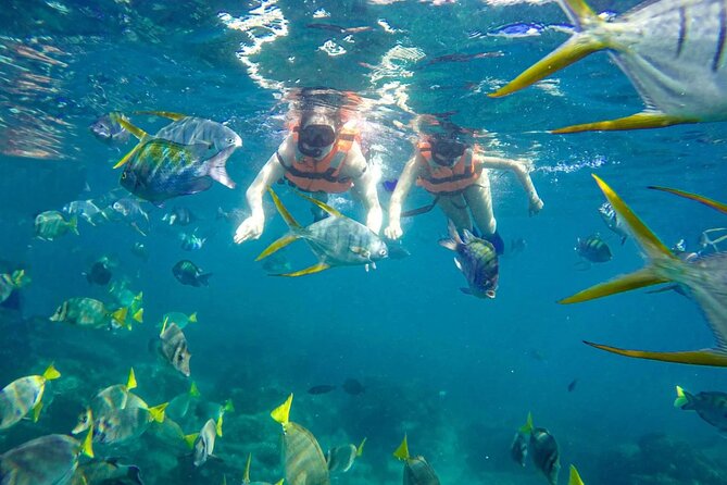 Snorkel and arch tour in los cabos - Playa de los Amantes and other coastal stops: why the boat ride is part of the value