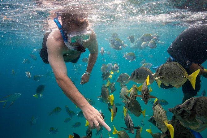 Snorkel & Explore Pelican Rock by Glass Boat + Photos - Photo CD and the snorkel tube: getting proof you were there
