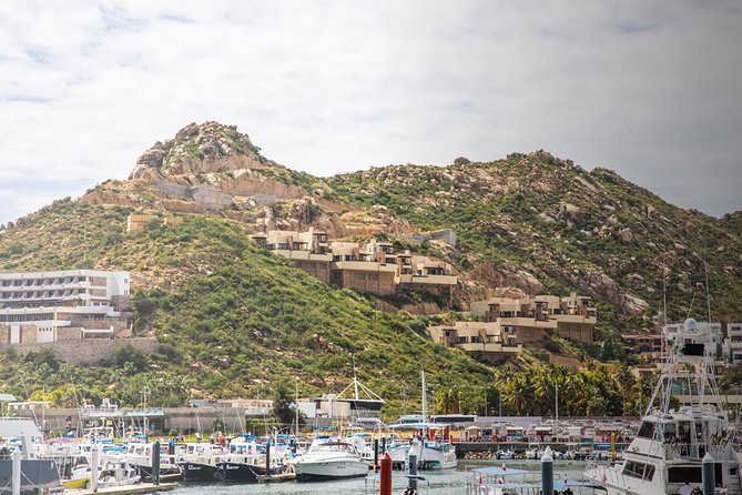 Snorkel & Explore Pelican Rock by Glass Boat + Photos - Price and value: when $125 makes sense