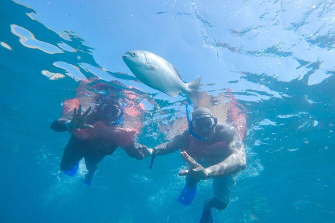 Snorkel in Luxury Sailing Boat + Food and Premium drink! - Stop 1: The Cabo Arch Coastline, Lovers Beach, and Sea Lions