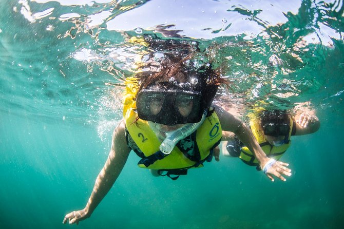 Snorkel, Lunch & Sail in Cabo San Lucas - Lunch onboard: the taco buffet and vegetarian options that actually work