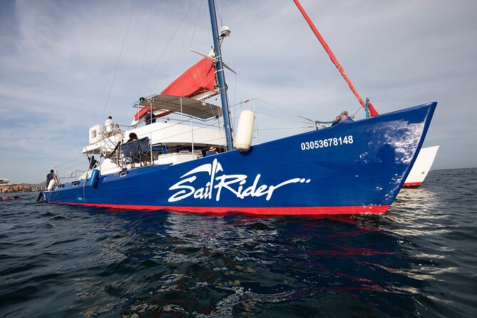Snorkel, Lunch & Sail in Cabo San Lucas - Snorkeling in the Sea of Cortez: what to expect and how to set expectations