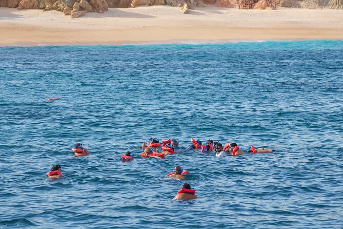 Snorkel & Sunset Sail in Cabo San Lucas - Should you book this Sunrider snorkeling and sunset sail?